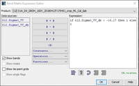 Figure 16 Binarization expression.gif