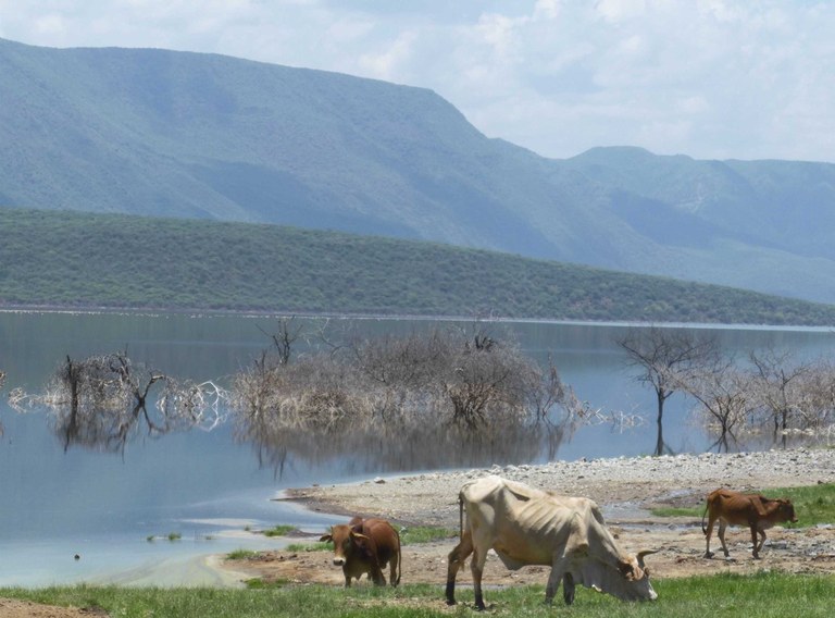 Lake Baringo_Foto-Tatenda Chiuya.jpg