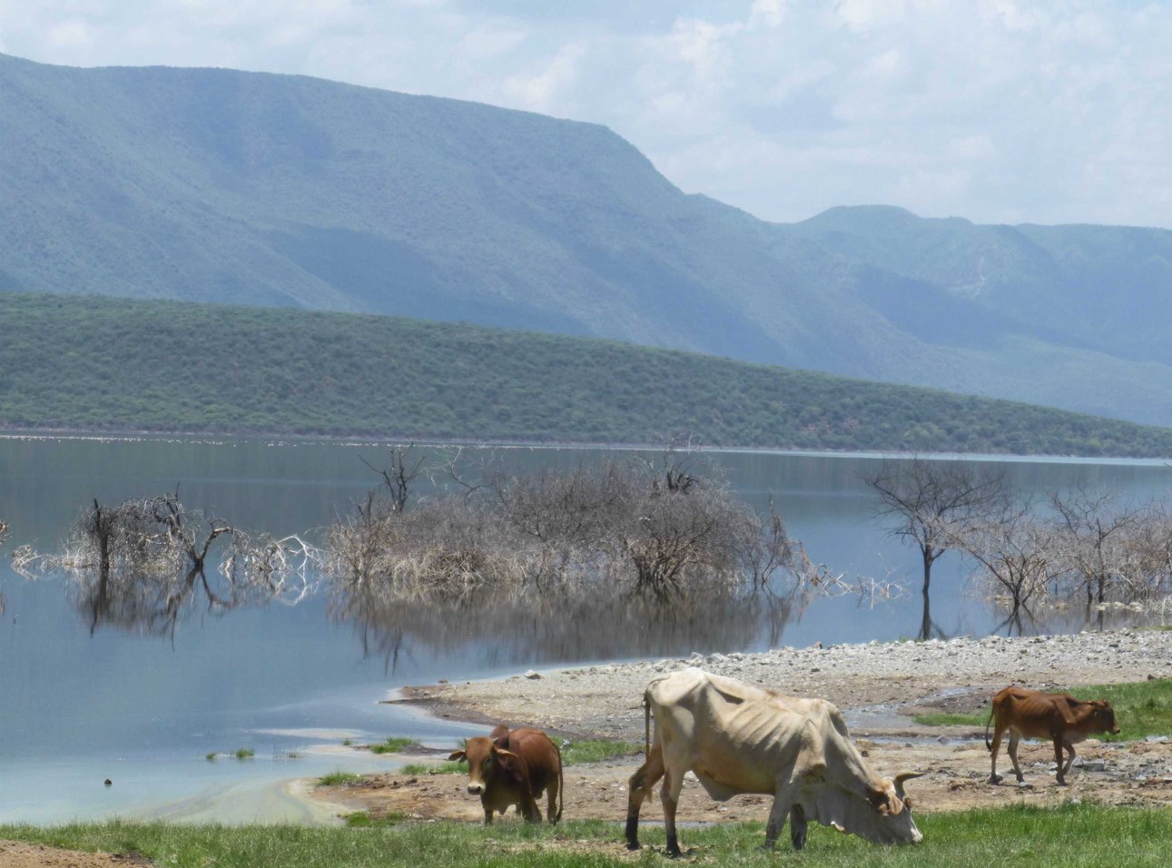 Lake Baringo_Foto-Tatenda Chiuya.jpg