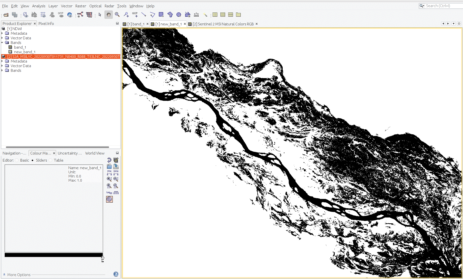 Figure 8 Visualization of the binarized NDWI.gif