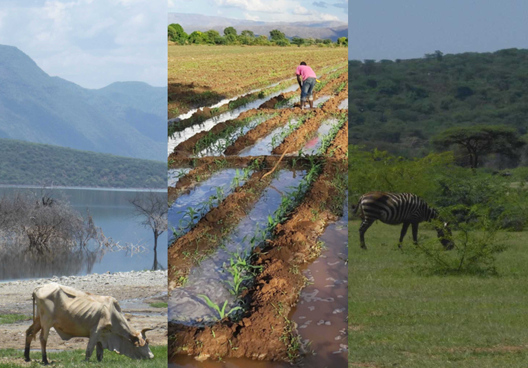 Lake Baringo.jpeg