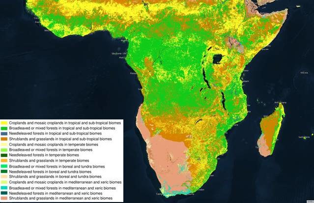 Figure 10 Fuel classes in Sub-Saharan Africa, based on the GWIS..jpg